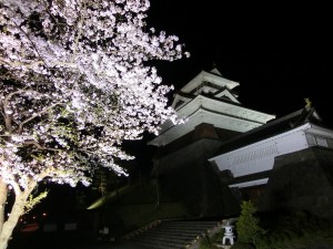 上山桜6