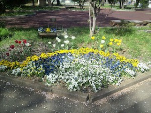 中庭の花は満開