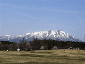 小岩井農場の桜２