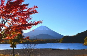 １１　月　紅葉と富士